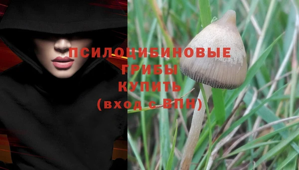 альфа пвп Зеленодольск