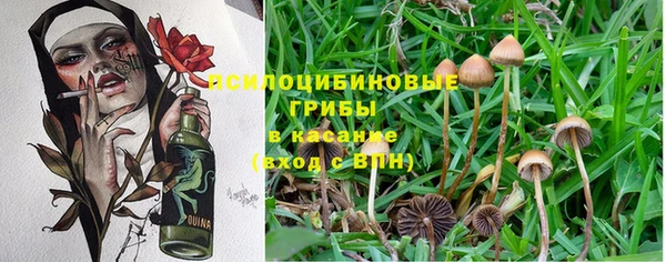 меф Зерноград