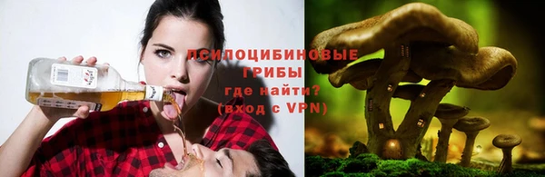 PSILOCYBIN Зеленокумск