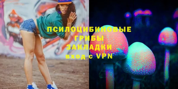 PSILOCYBIN Зеленокумск