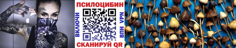 Купить  Дагестанские Огни  Галлюциногенные грибы мухоморы 