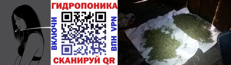 Конопля гибрид  Купить закладки  Дагестанские Огни 